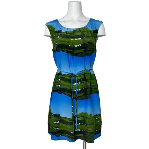 Anthropologie Meadow Rue Cuillin Silk Dress 8P Petite Sleeveless Mini Tie Belt - Picture 12 of 12